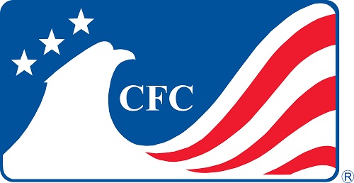 New CFC Regulations Are a Blueprint for a Charitable Future America #39 s