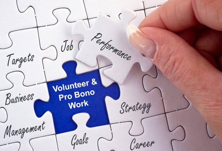 Volunteer and Pro Bono Work Puzzle