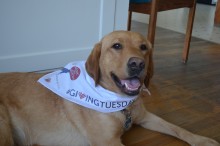 Alice 2016-08-16 Giving Tuesday Canine Partners