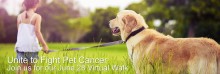 Unite to Fight Pet Cancer