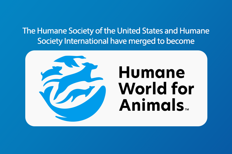 EXCITING NEWS: Humane Society of The United States and Humane Society International is now HUMANE WORLD FOR ANIMALS | America’s Charities